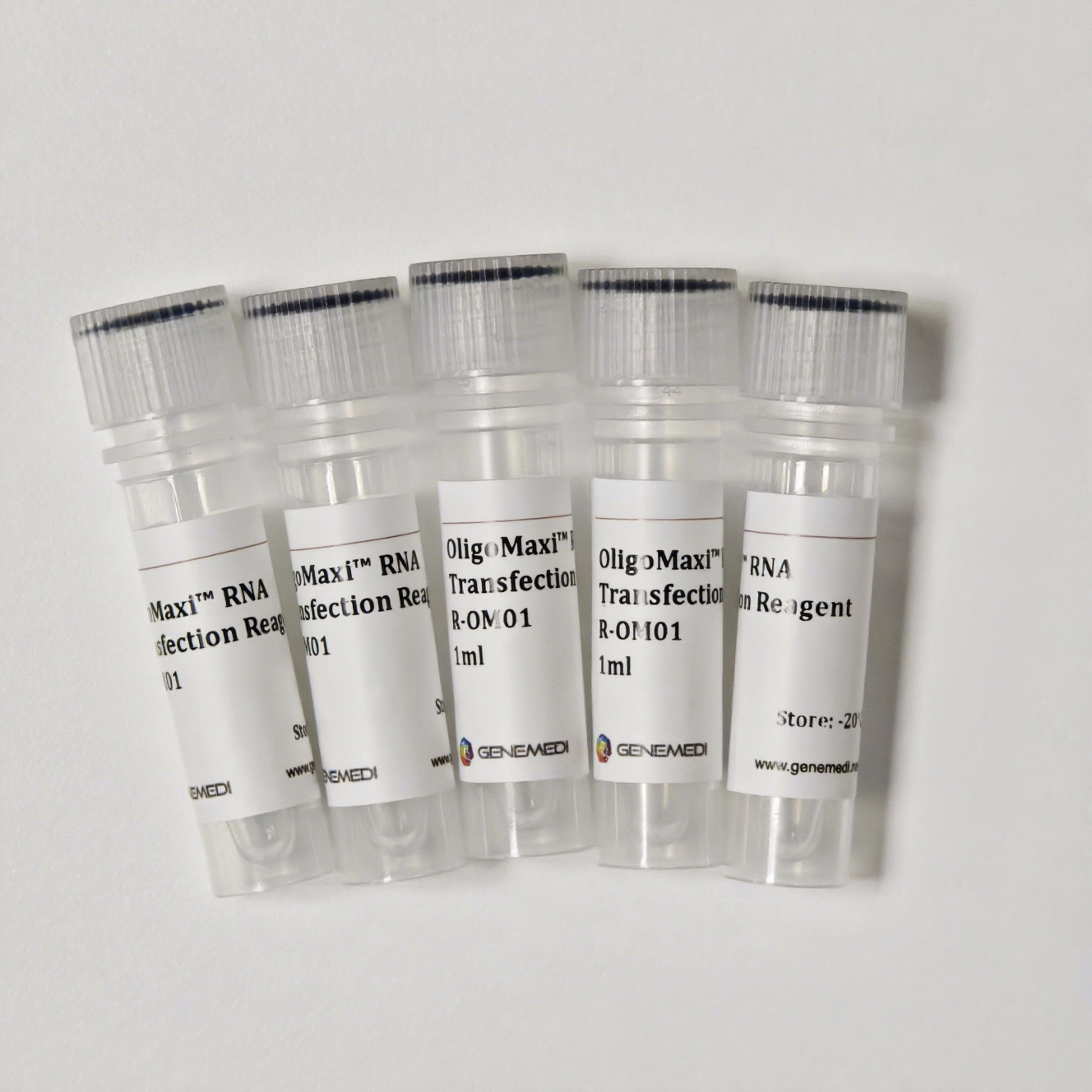Vial of OligoMaxi RNA Transfection Reagent