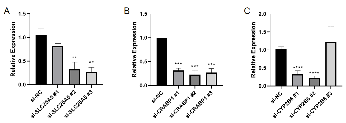 Gene Silencing Efficiency Data